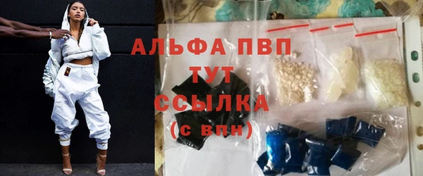 стаф Ладушкин