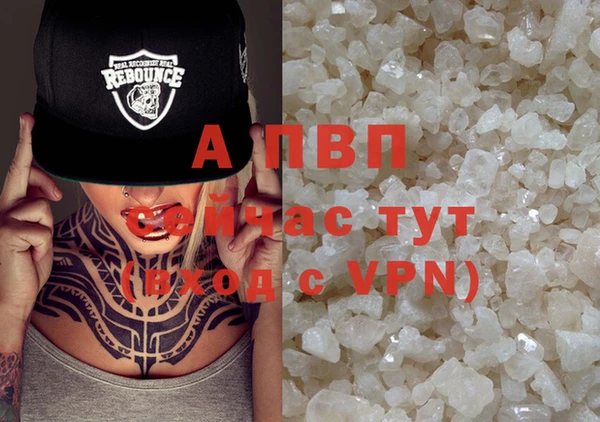 стафф Лабытнанги