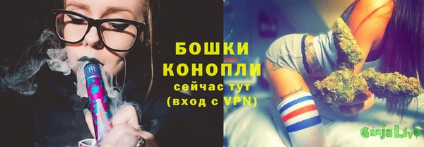 стаф Ладушкин