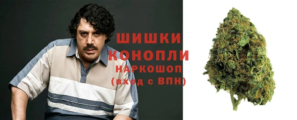стаф Ладушкин