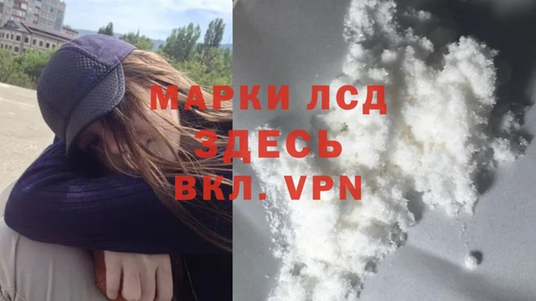стаф Ладушкин