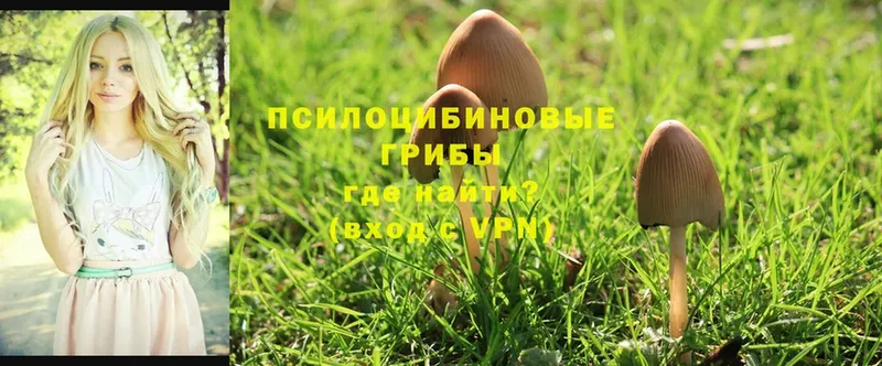 Галлюциногенные грибы MAGIC MUSHROOMS  Тольятти 