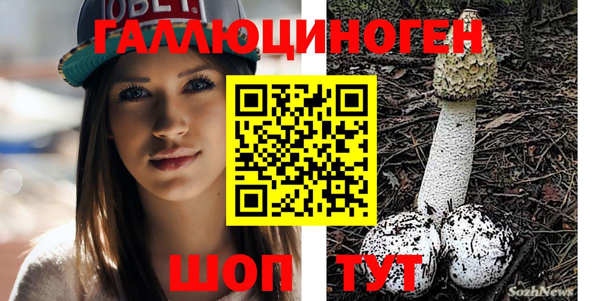Псилоцибиновые грибы Psilocybine cubensis  Галлюциногенные грибы прущие грибы  Тольятти 