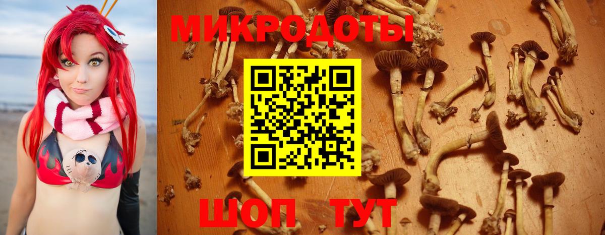 Галлюциногенные грибы GOLDEN TEACHER Тольятти