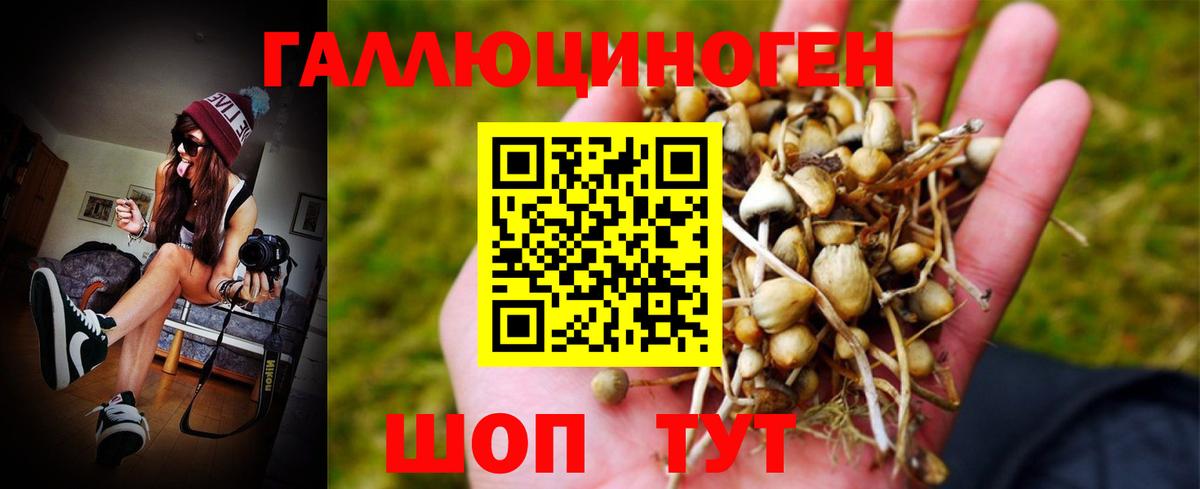 Галлюциногенные грибы GOLDEN TEACHER Тольятти